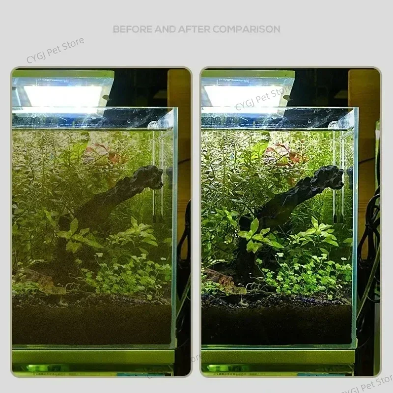 Fish Tank Cleaning Tool Flat S - Aquarium Marine Sand ulasan dan harga