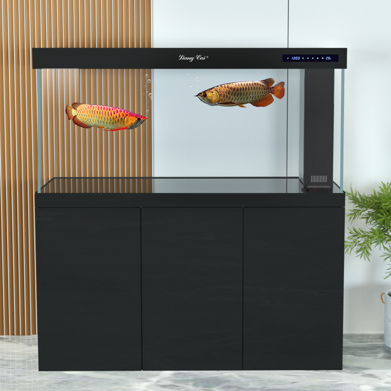 Ultra Clear Modern Glass Aquar - Marine Aquarium Live ulasan dan harga