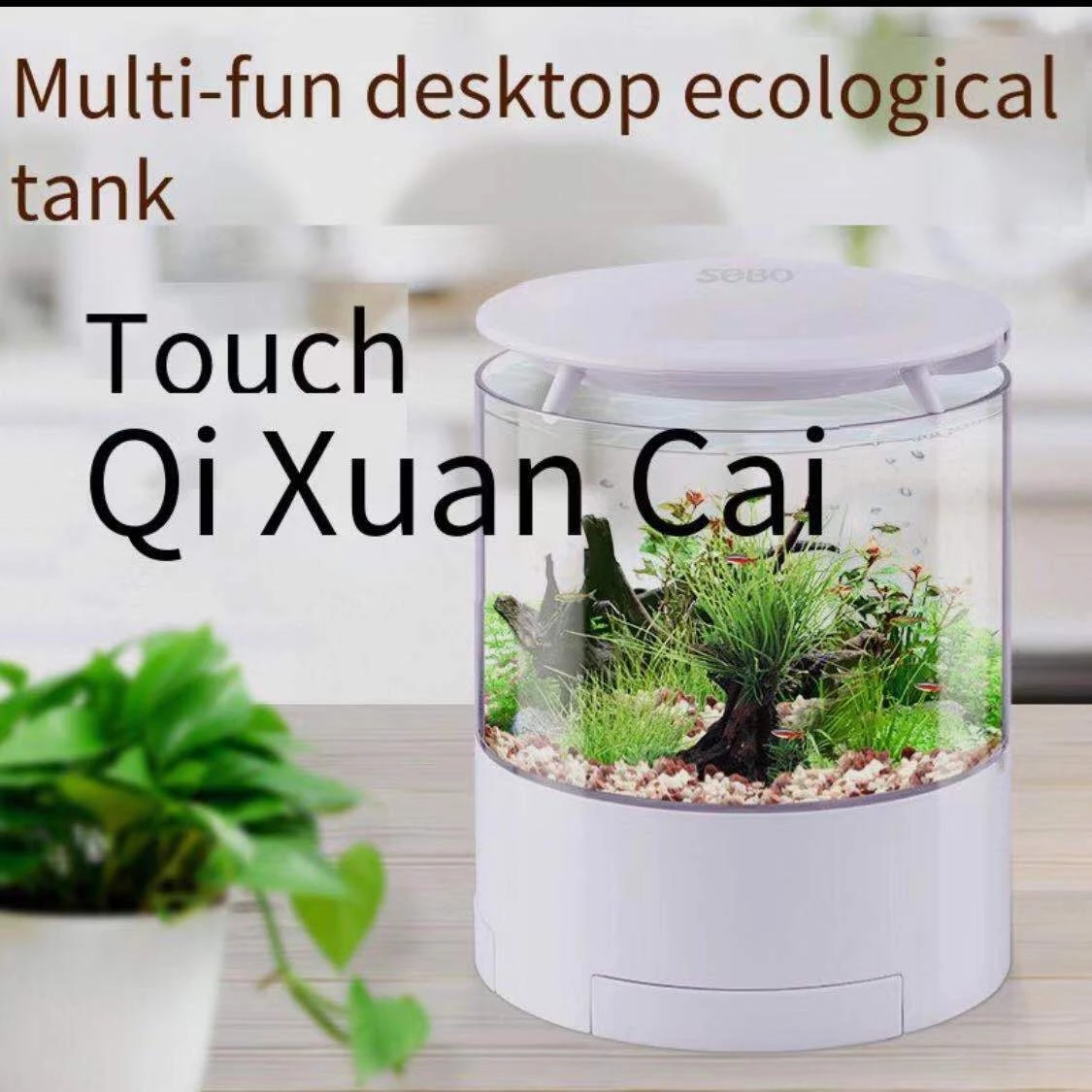 Round colorful lights desktop  - Marine Aquarium With Sump ulasan dan harga