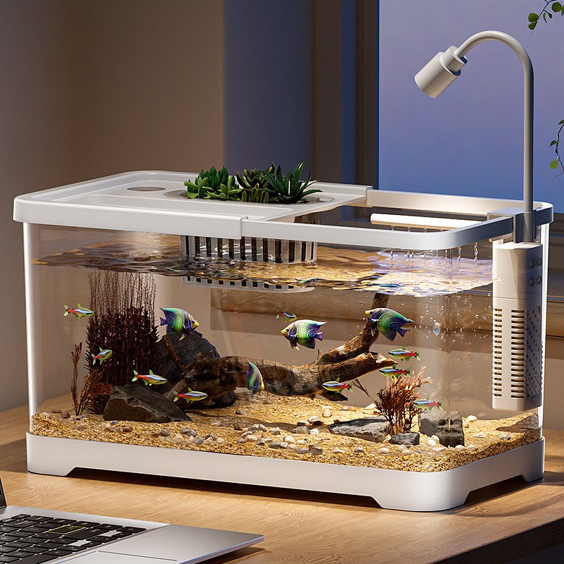 Fish tank household aquarium l - Marine Aquarium Live ulasan dan harga