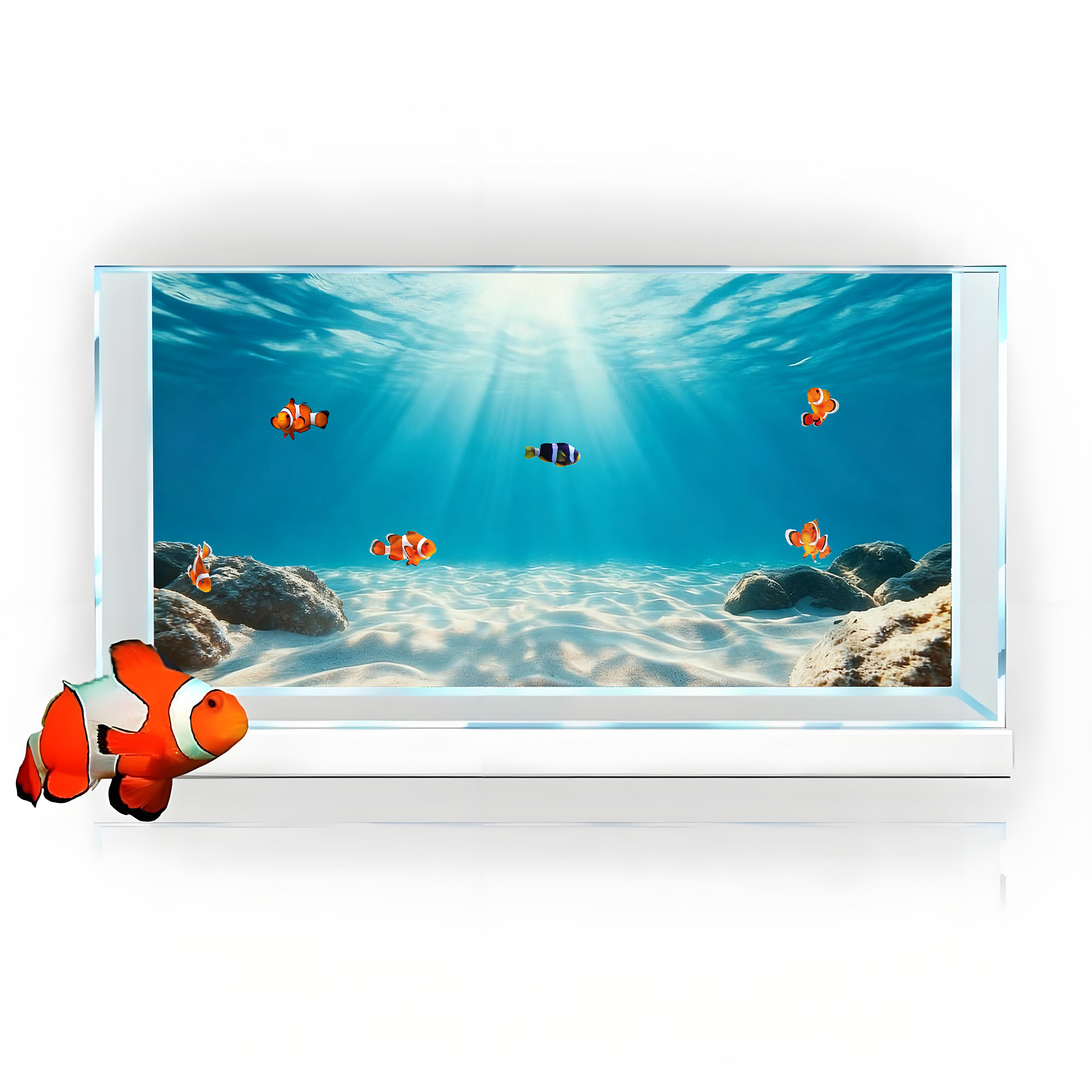 Blue Sea Clear Sand, Fish Tank - Aquarium Marine Sand ulasan dan harga