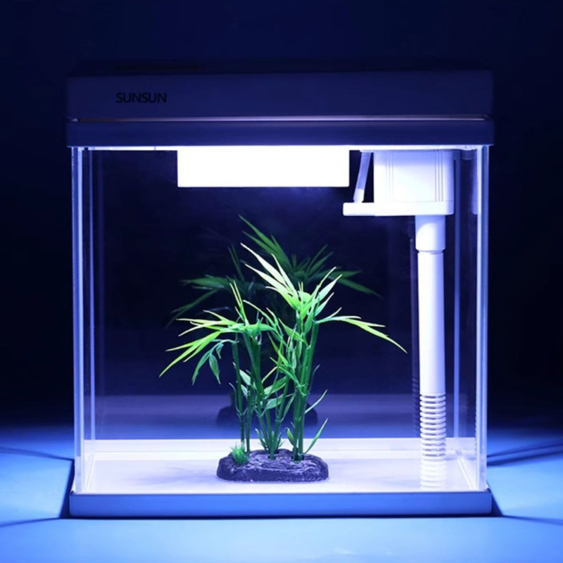 Glass Fish Tank Desktop Cyclic - Marine Aquarium With Sump ulasan dan harga