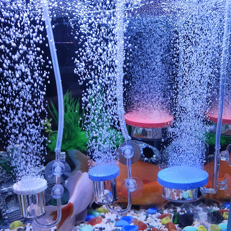 High transparency Acrylic Air  - Aquarium Marine Sand ulasan dan harga