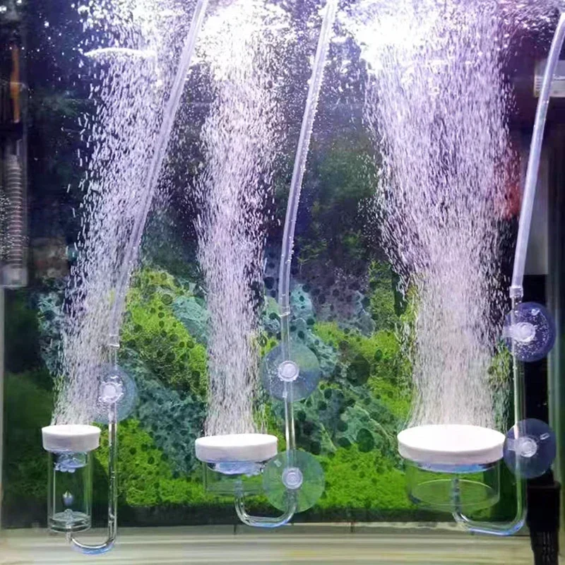 High transparency Acrylic Air  - Aquarium Marine Sand ulasan dan harga