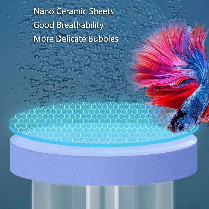 High transparency Acrylic Air  - Aquarium Marine Sand ulasan dan harga