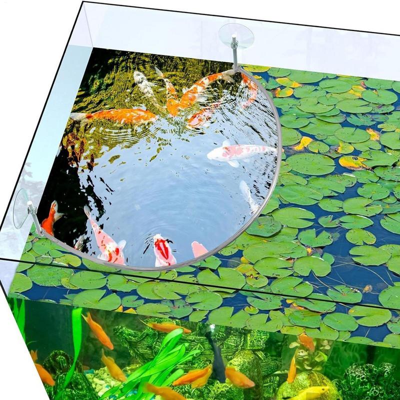 Floating Plant Corral Fish Fee - Aquarium Marine Filter ulasan dan harga