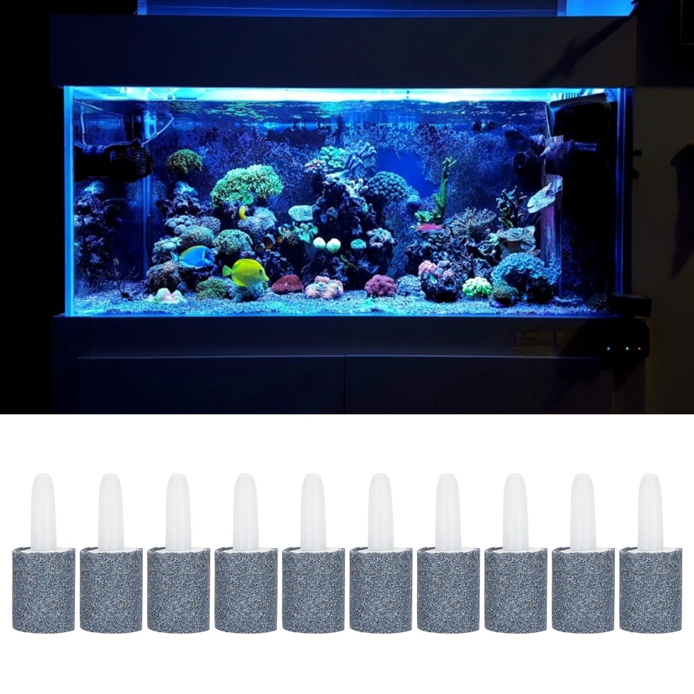 10PCS Set Cylinder Shape Aquar - Aquarium Marine Sand ulasan dan harga