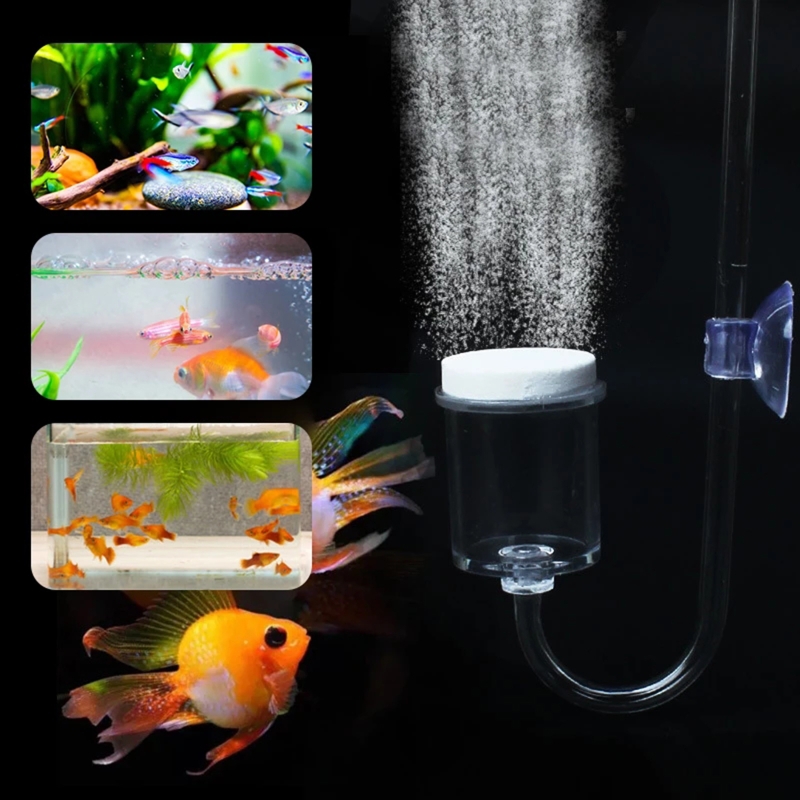 4pcs Set DIY CO2 Diffuser For  - Marine Aquarium Live ulasan dan harga