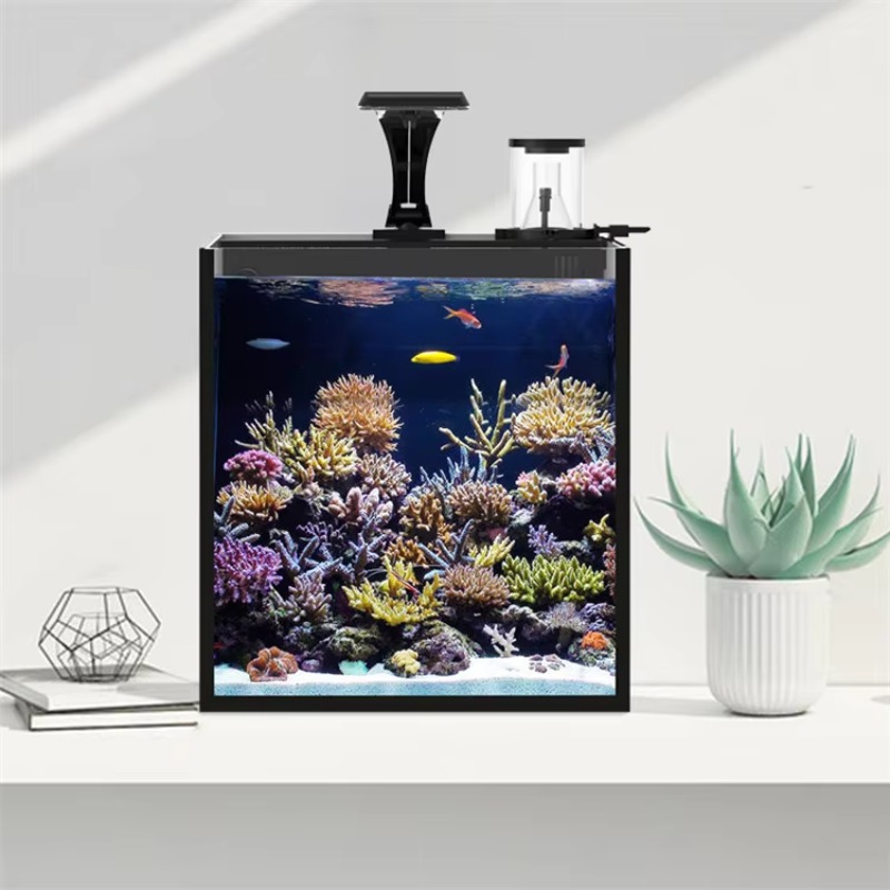 Table Curved Saltwater Marine  - Marine Aquarium Live ulasan dan harga