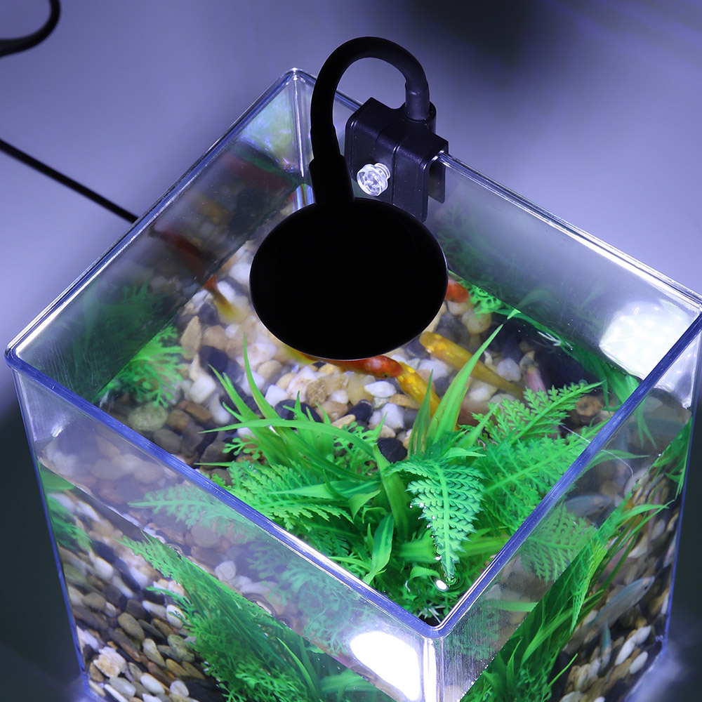 USB Desktop Fish Tank Set-Easy - Marine Aquarium With Sump ulasan dan harga
